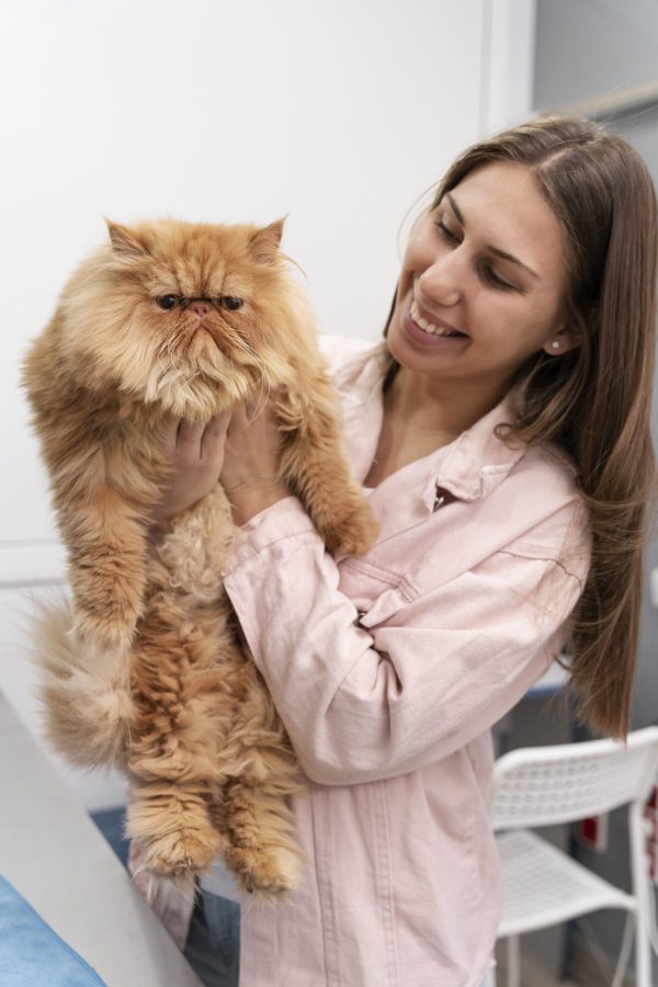 professional pet groomer lady with cat