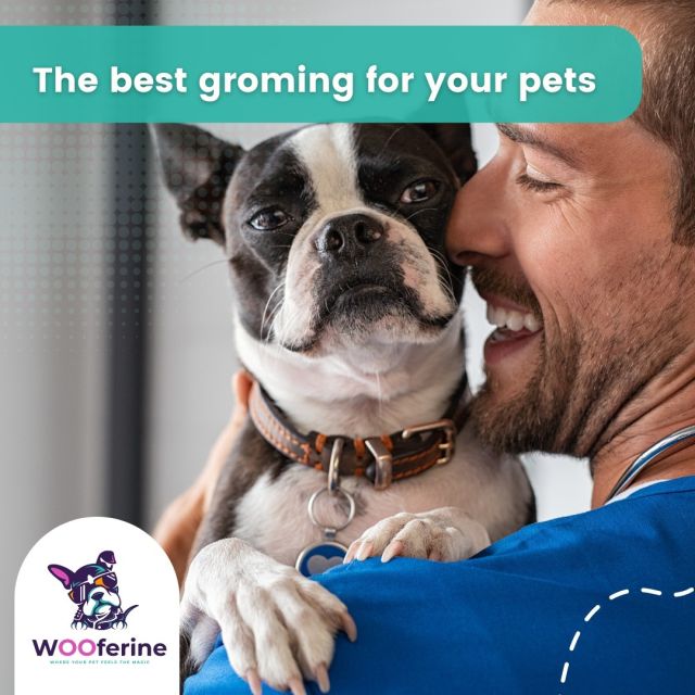 Bath and Bubbles-Best Personalised Mobile Pet Grooming Dubai